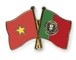 Ambassador presents credentials to Portuguese President - ảnh 1